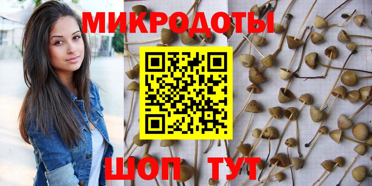 Псилоцибиновые грибы мухоморы  Вход с VPN  наркотики  Фролово 