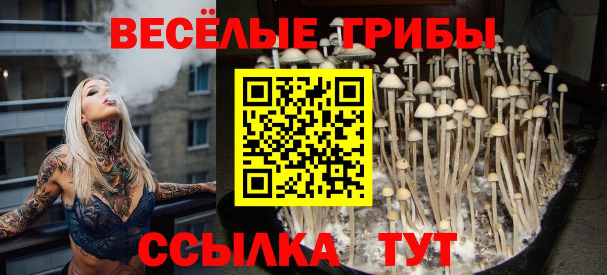 ГАШ Фролово