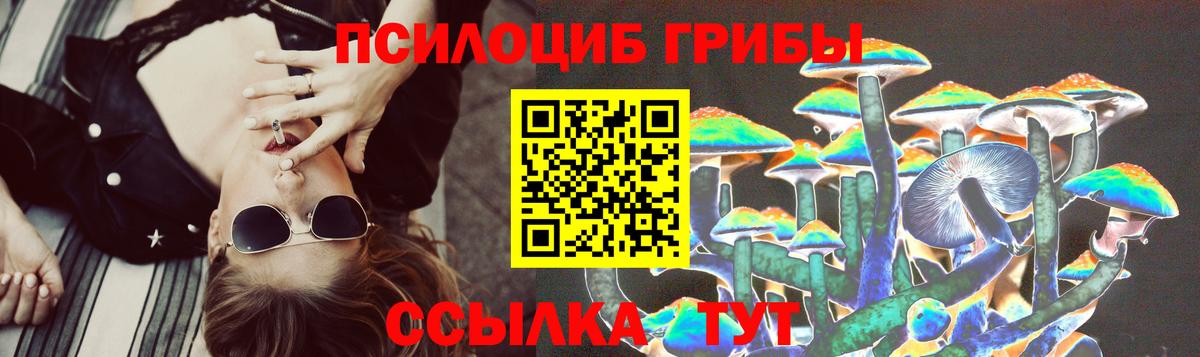 Псилоцибиновые грибы прущие грибы Фролово