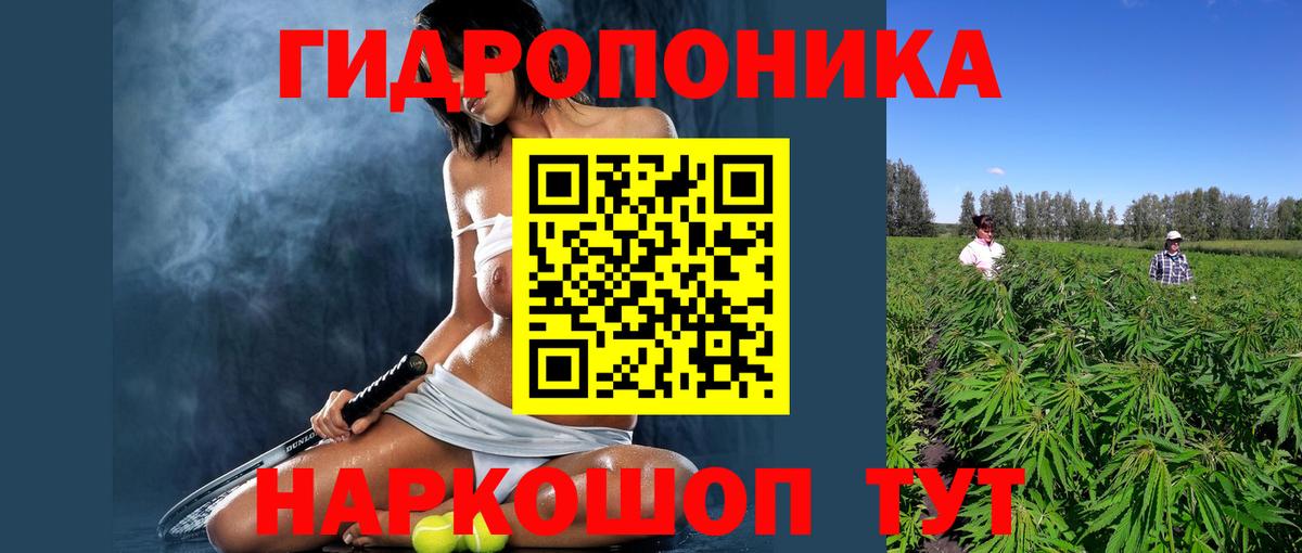 Марихуана семена Фролово